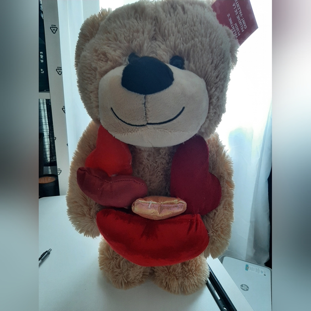 Valentines Plush Teddy Bear with Heart Accents BUY NOW